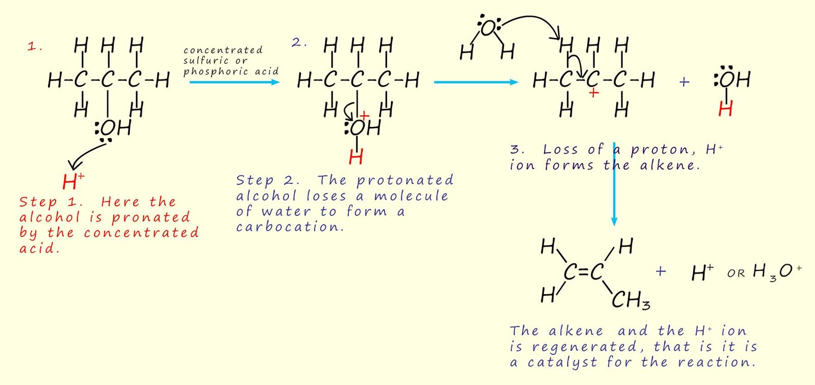 mechanism of acid catalysed dehydration of an alcohol